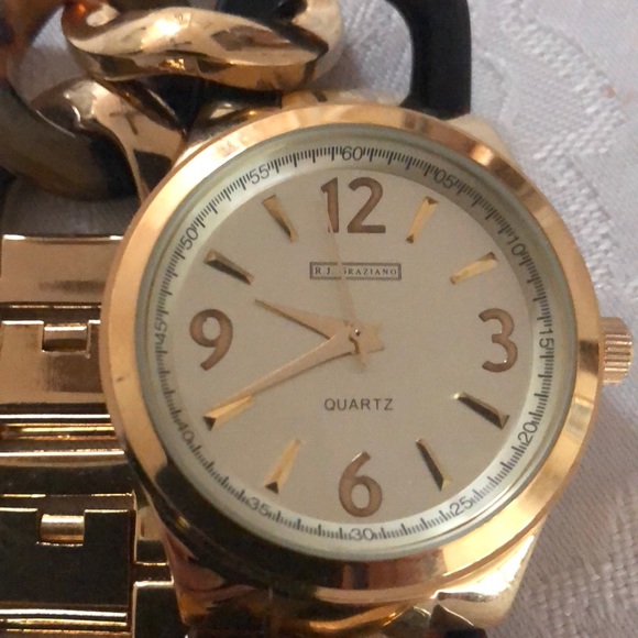 RJ Graziano panther link watch main image 7